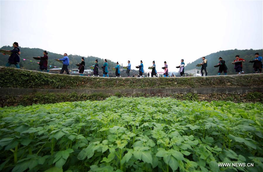 #CHINA-GUIZHOU-QIANDONGNAN-MIAO ETHNIC GROUP-BANQUET (CN)