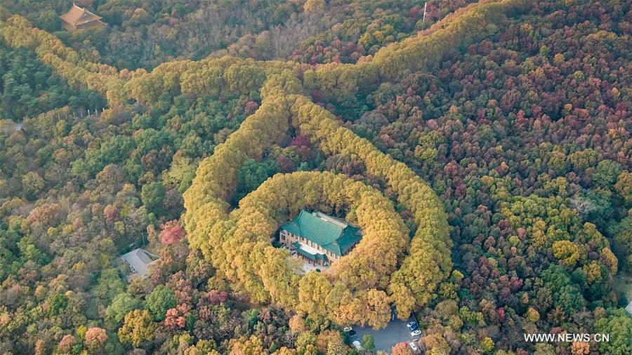 CHINA-NANJING-SCENERY(CN)