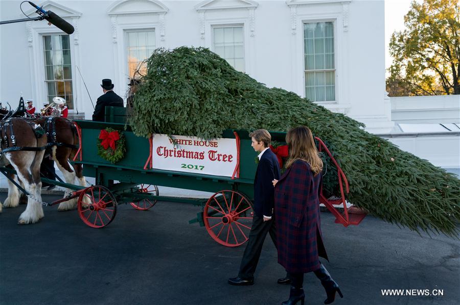 U.S.-WASHINGTON D.C.-CHRISTMAS TREE-FIRST LADY