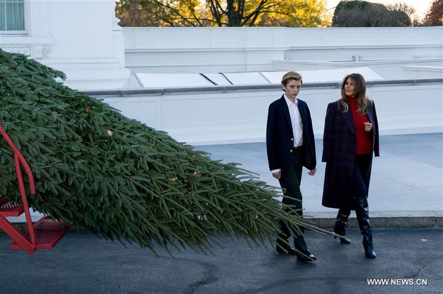 U.S.-WASHINGTON D.C.-CHRISTMAS TREE-FIRST LADY