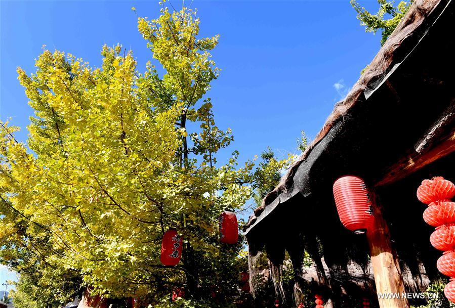 CHINA-YUNNAN-RURAL TOURISM (CN)