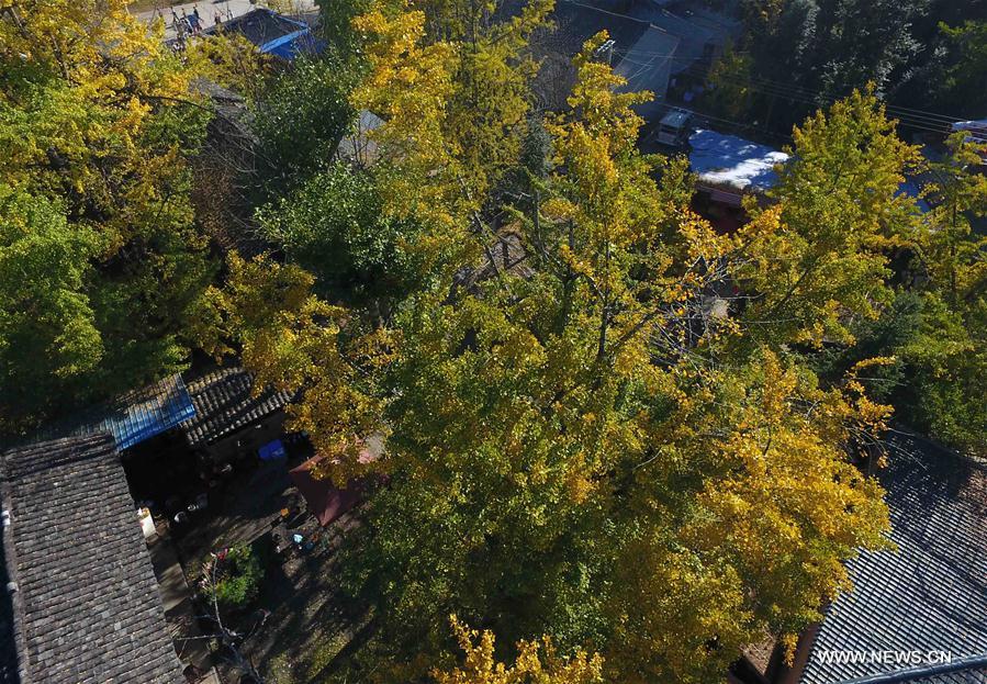 CHINA-YUNNAN-RURAL TOURISM (CN)