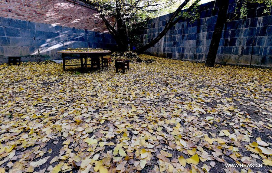 CHINA-YUNNAN-RURAL TOURISM (CN)