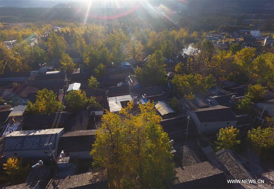 CHINA-YUNNAN-RURAL TOURISM (CN)