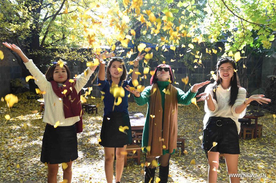 CHINA-YUNNAN-RURAL TOURISM (CN)