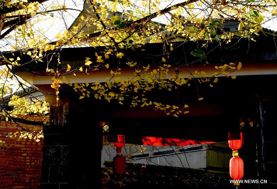 CHINA-YUNNAN-RURAL TOURISM (CN)