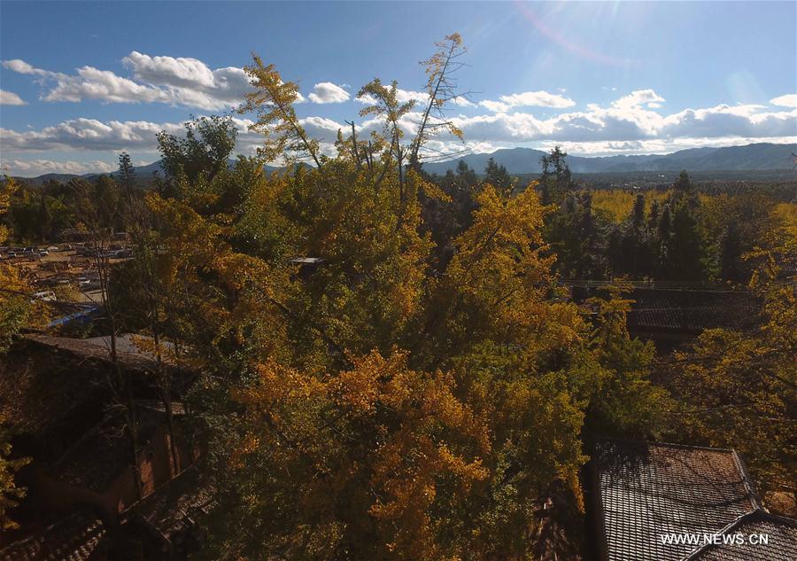 CHINA-YUNNAN-RURAL TOURISM (CN)