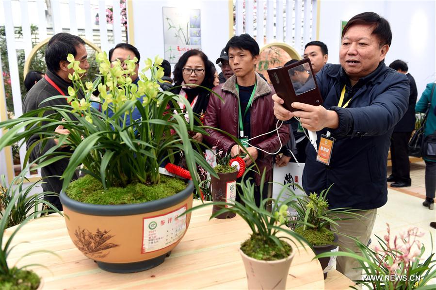 CHINA-FUJIAN-ORCHID SHOW (CN)