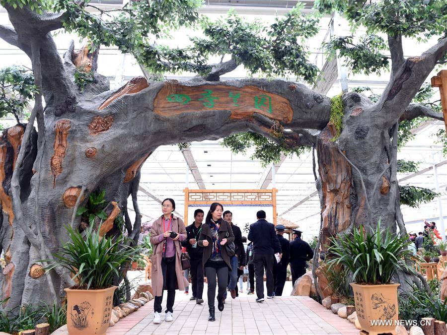 CHINA-FUJIAN-ORCHID SHOW (CN)