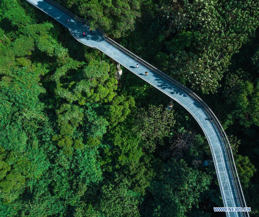 CHINA-FUJIAN-FUZHOU-ENVIRONMENT-SKYWALK (CN)