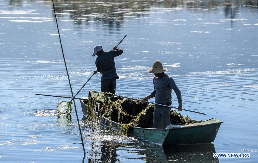 CHINA-YUNNAN-ZIBI LAKE-WATER QUALITY-IMPROVEMENT (CN)