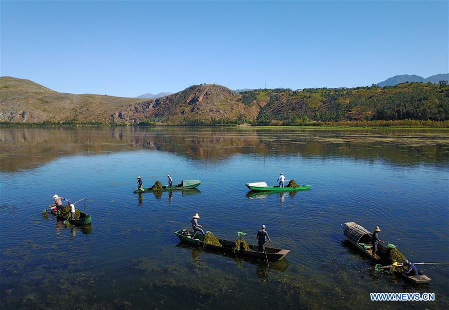 CHINA-YUNNAN-ZIBI LAKE-WATER QUALITY-IMPROVEMENT (CN)