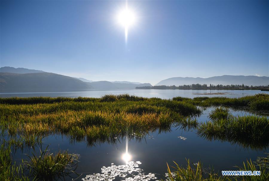 CHINA-YUNNAN-ZIBI LAKE-WATER QUALITY-IMPROVEMENT (CN)
