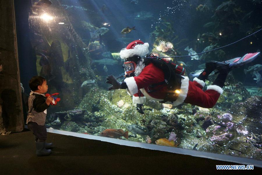 CANADA-VANCOUVER-AQUARIUM-CHRISTMAS