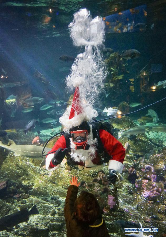 CANADA-VANCOUVER-AQUARIUM-CHRISTMAS