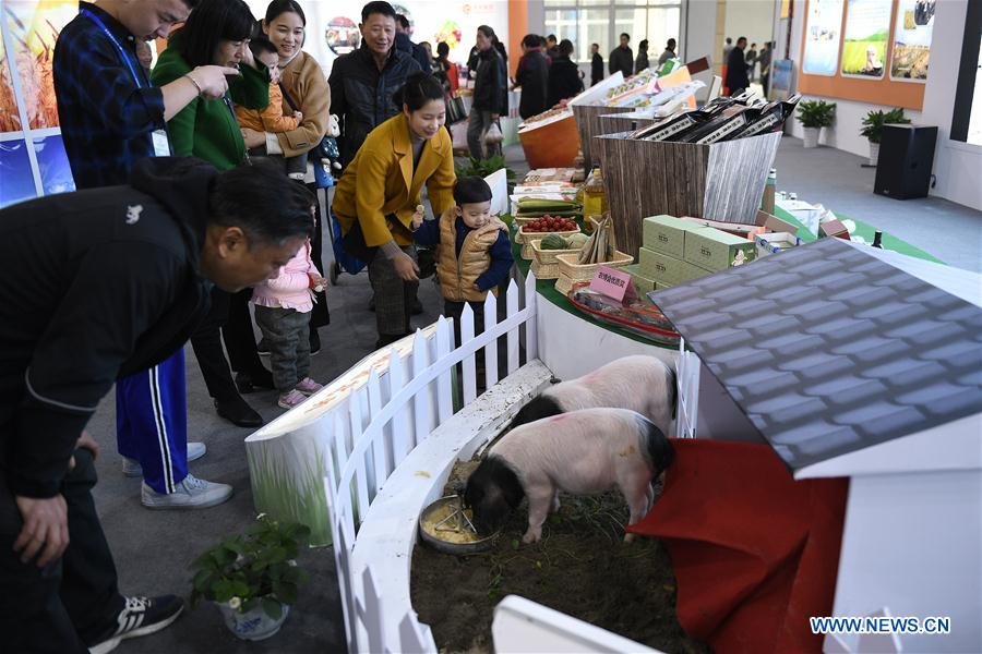 CHINA-ZHEJIANG-HANGZHOU-AGRICULTURAL FAIR (CN)