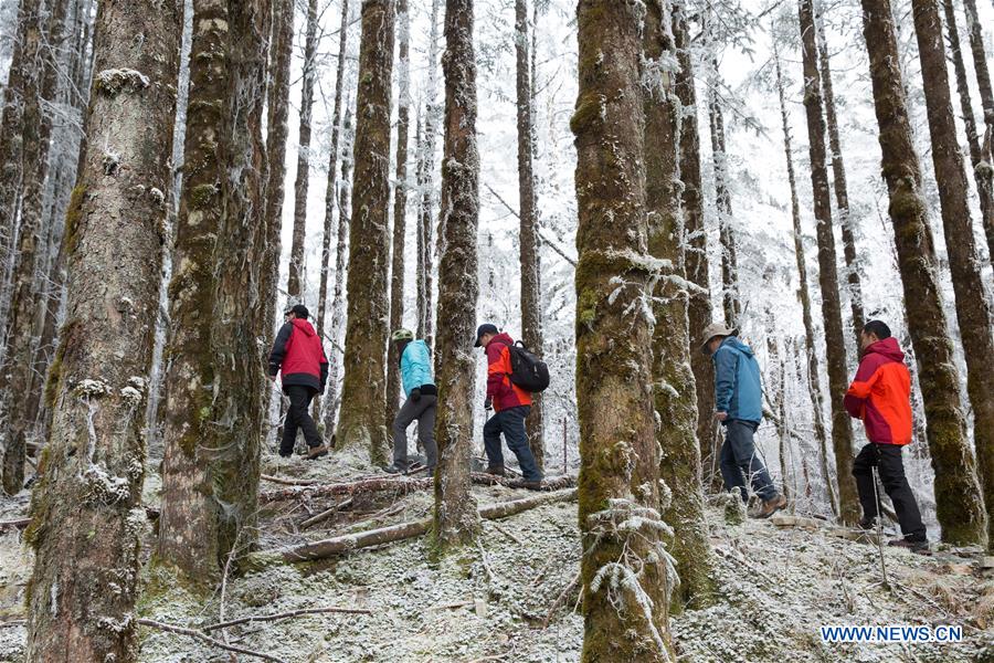 CHINA-SICHUAN-LUDING-GONGGA MOUNTAIN-RESEARCHER (CN)