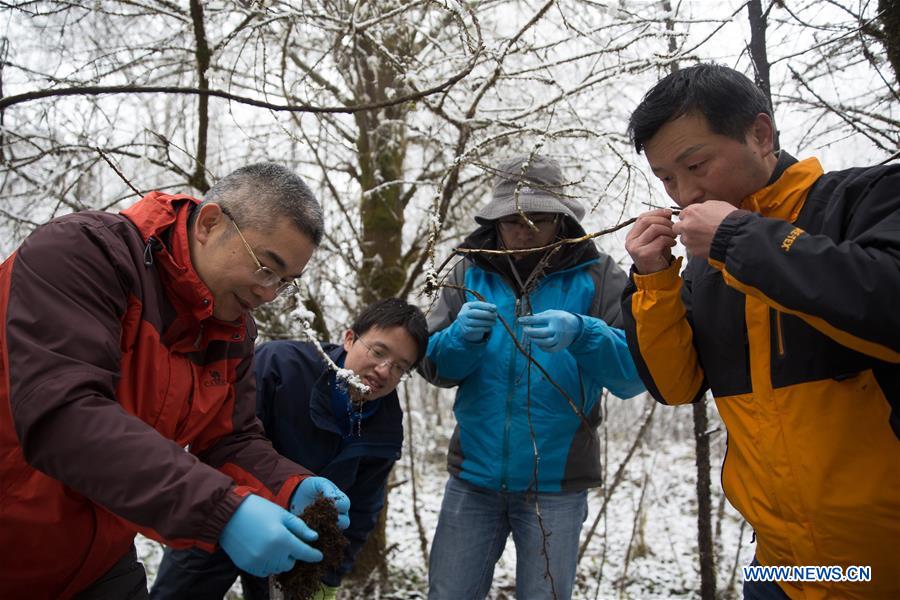 CHINA-SICHUAN-LUDING-GONGGA MOUNTAIN-RESEARCHER (CN)