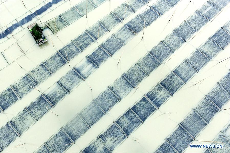 CHINA-FUJIAN-XIAPU-FARM AT SEA (CN)