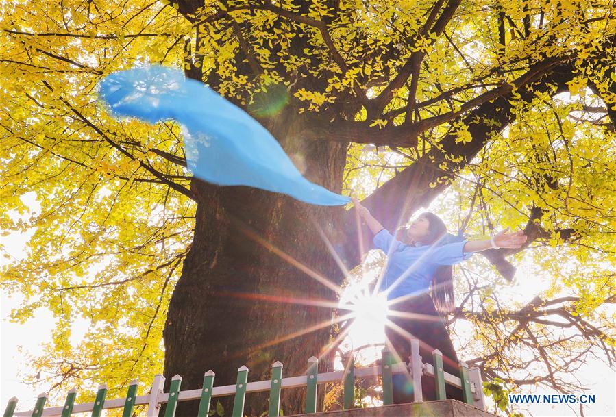 #CHINA-COLORFUL TREES-SCENERY (CN)