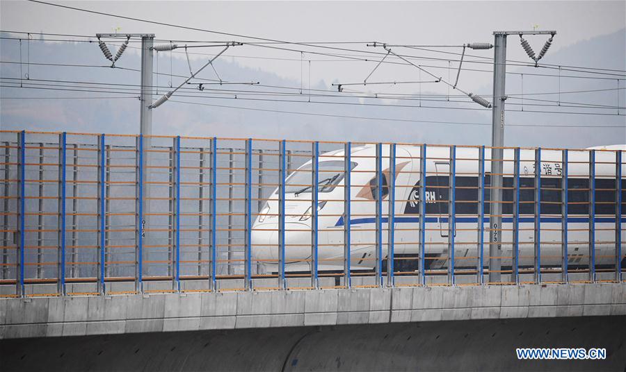 CHINA-SHAANXI-XI'AN-CHENGDU HIGH-SPEED RAILWAY-PROTECTION NET FOR CRESTED IBIS (CN)