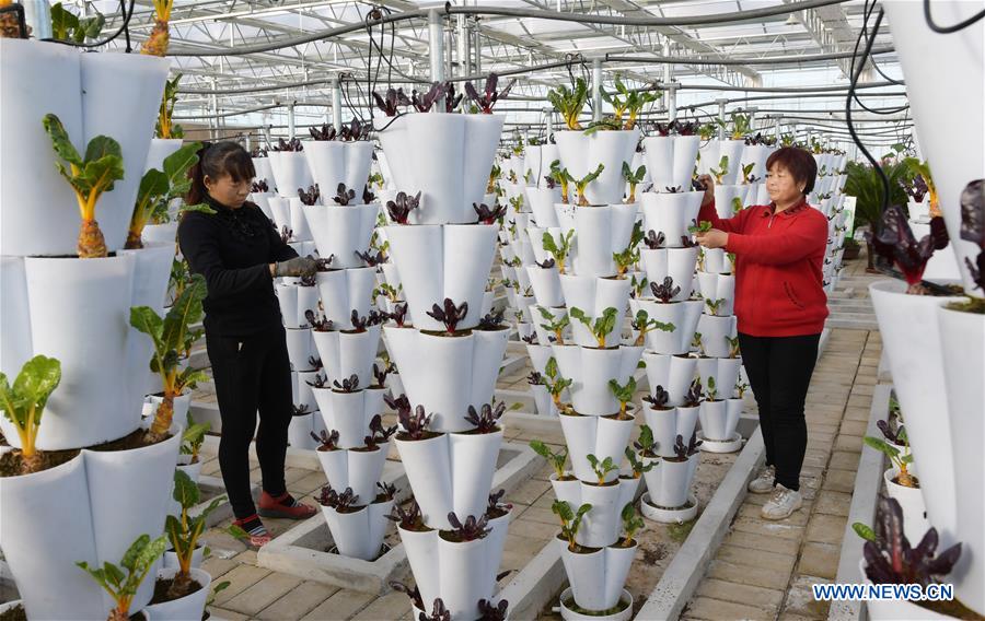 #CHINA-GANSU-LINXIA-AGRICULTURE (CN)