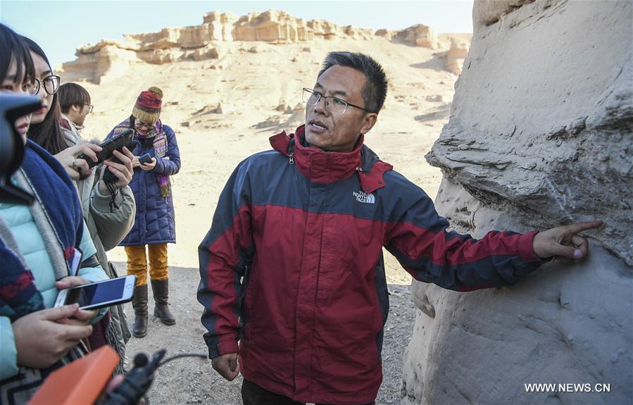 CHINA-XINJIANG-FINDINGS-PTEROSAURS-FOSSILIZED EGGS (CN)