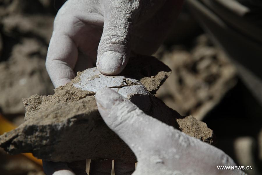 CHINA-XINJIANG-FINDINGS-PTEROSAURS-FOSSILIZED EGGS (CN)