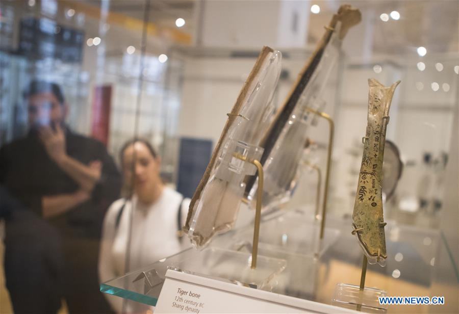 CANADA-TORONTO-ROYAL ONTARIO MUSEUM-ORACLE BONE SCRIPTS COLLECTION