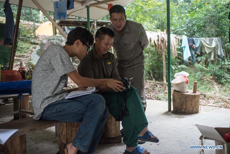 CHINA-HAIKOU-HAINAN GIBBON(CN)