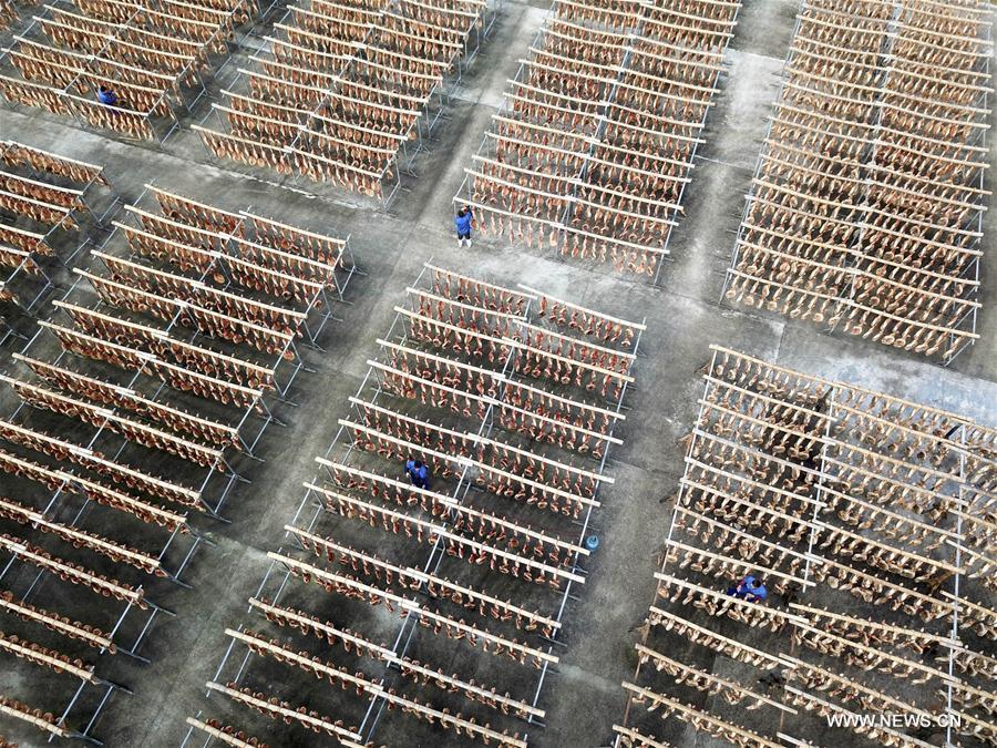 #CHINA-ZHEJIANG-JINHUA-HAM (CN)