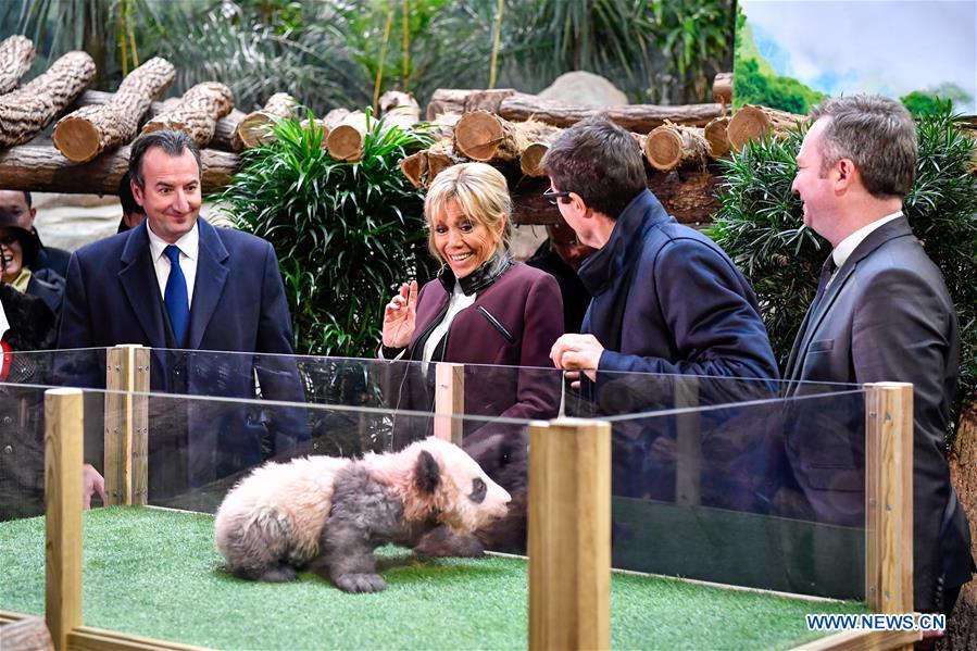 FRANCE-SAINT-AIGNAN-PANDA BABY-NAMING CEREMONY-YUAN MENG