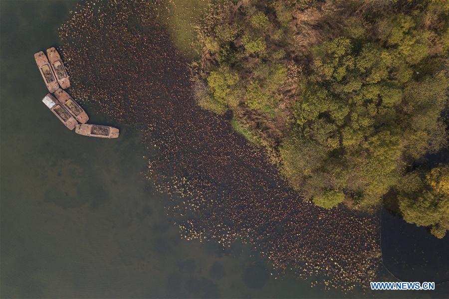 CHINA-ZHEJIANG-HANGZHOU-WEST LAKE-SCENERY (CN)