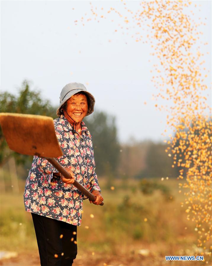 #CHINA-GRAIN-OUTPUT-INCREASE (CN)