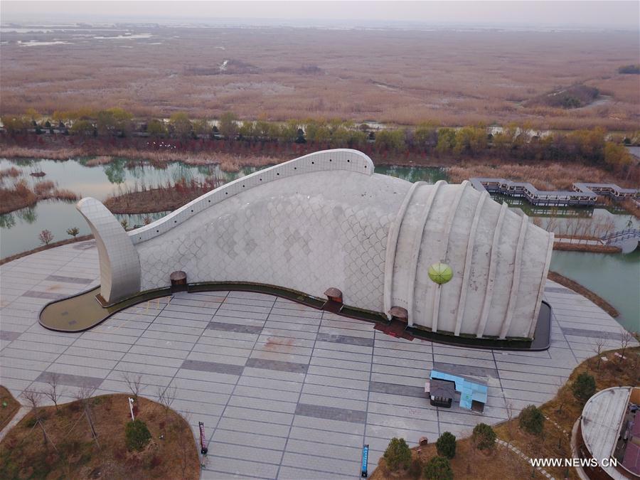 #CHINA-JIANGSU-SIHONG-AQUARIUM (CN)