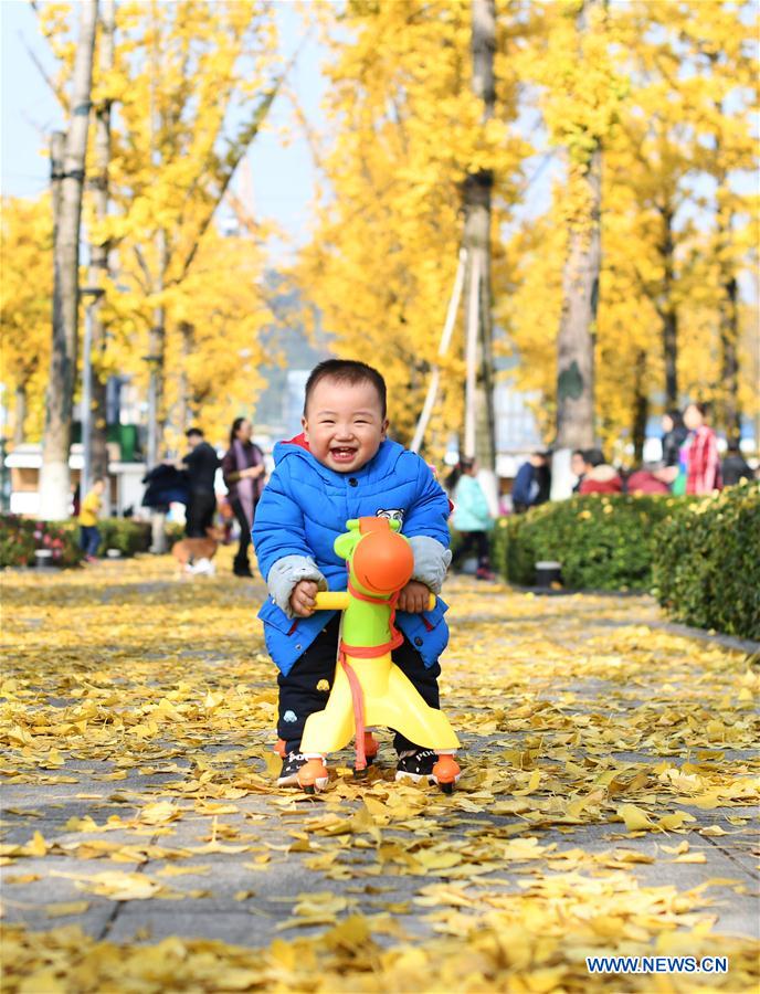 XINHUA PHOTO WEEKLY CHOICES