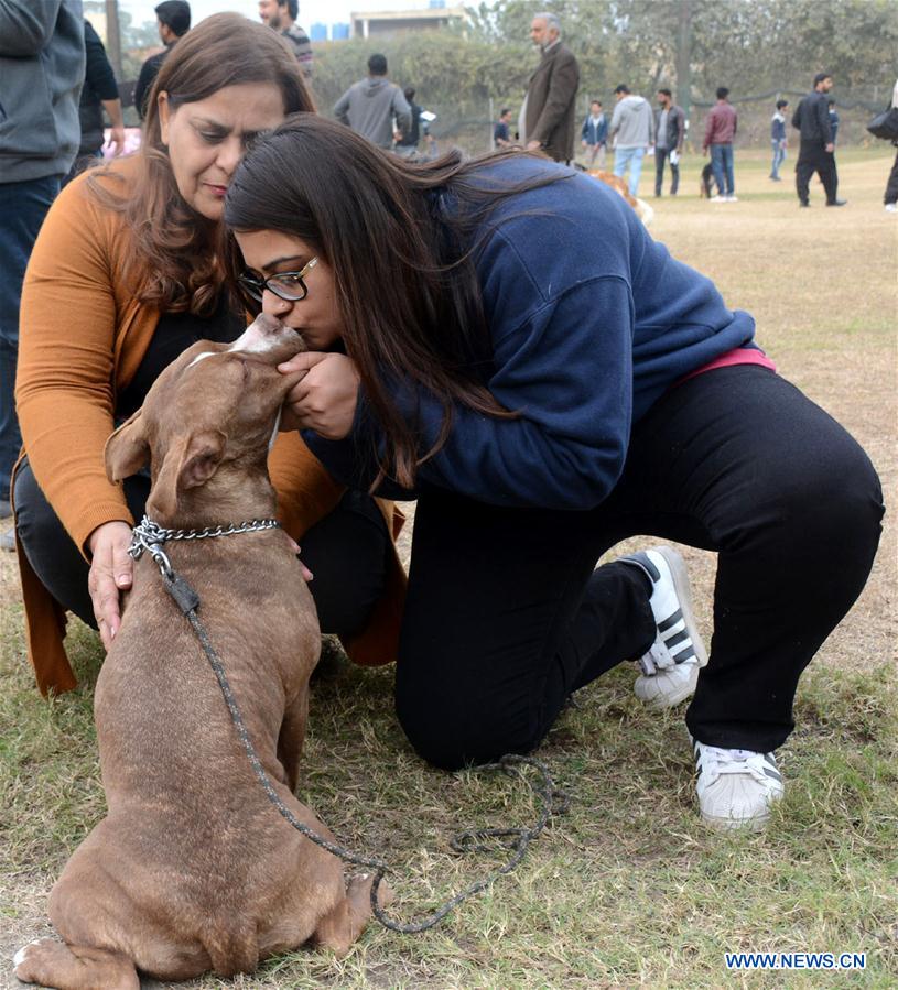 PAKISTAN-LAHORE-DOG SHOW