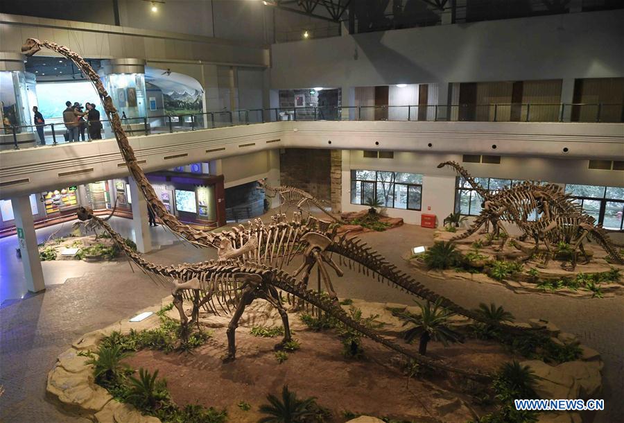 CHINA-SICHUAN-FOSSIL-DINOSAUR (CN)