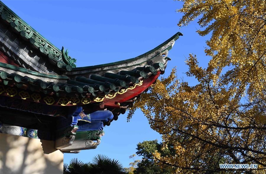 CHINA-KUNMING-WINTER SCENERY (CN)