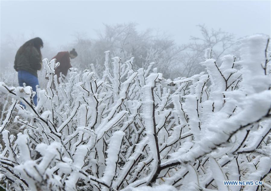 #CHINA-HUBEI-ENSHI-SNOWFALL (CN)