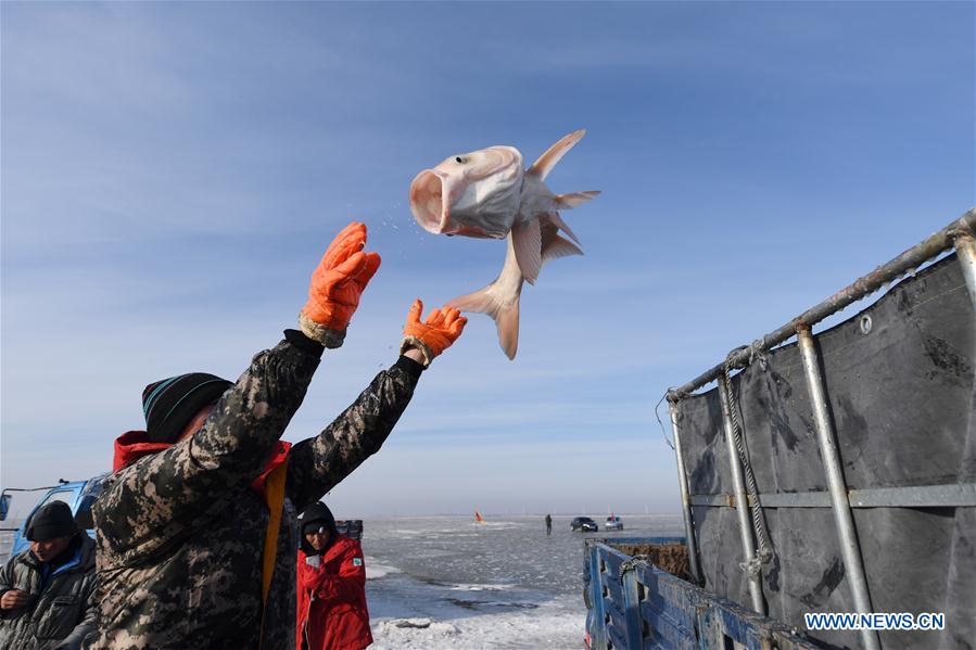 XINHUA PHOTO WEEKLY CHOICES