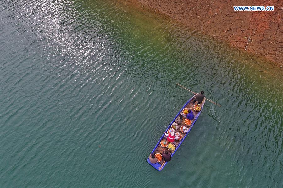 CHINA-GUIZHOU-ORANGES-HARVEST (CN)