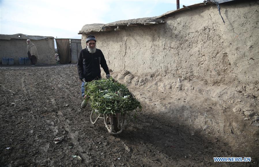 AFGHANISTAN-KABUL-DISPLACED