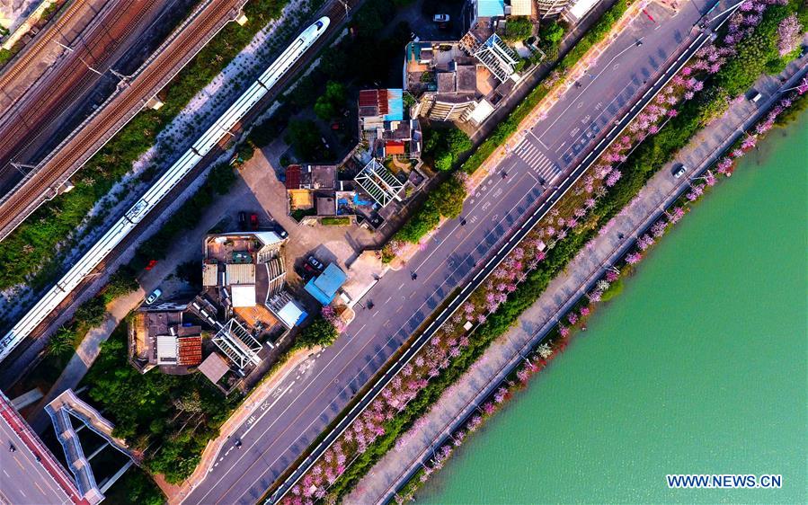 CHINA-FOUR GREAT NEW INVENTIONS (CN)