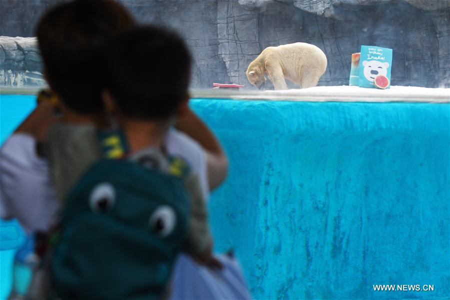 SINGAPORE-ZOO-POLAR BEAR-INUKA-BIRTHDAY