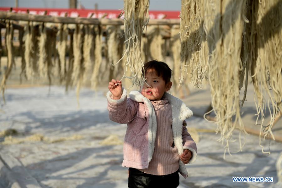 #CHINA-HENAN-SWEET POTATO VERMICELLI (CN) 