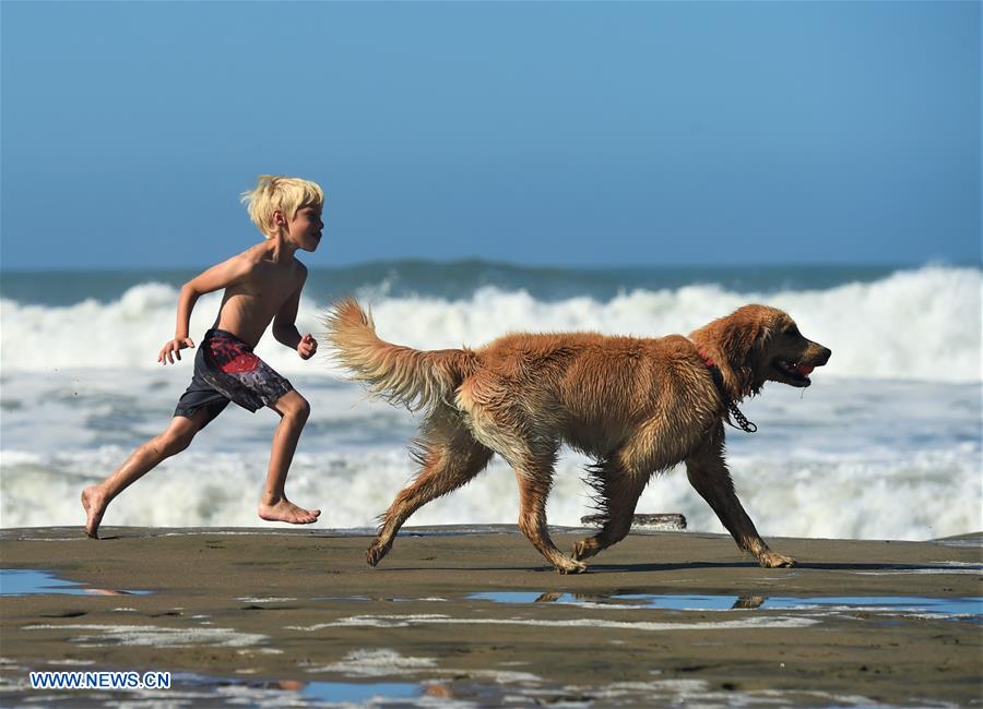 U.S.-AMERICANS IN 2017-YEARENDER