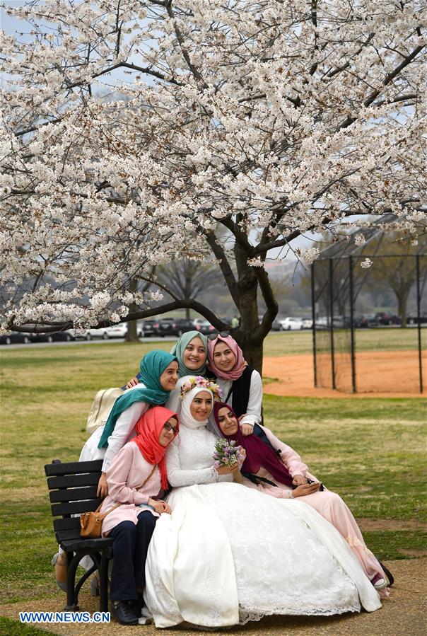 U.S.-AMERICANS IN 2017-YEARENDER