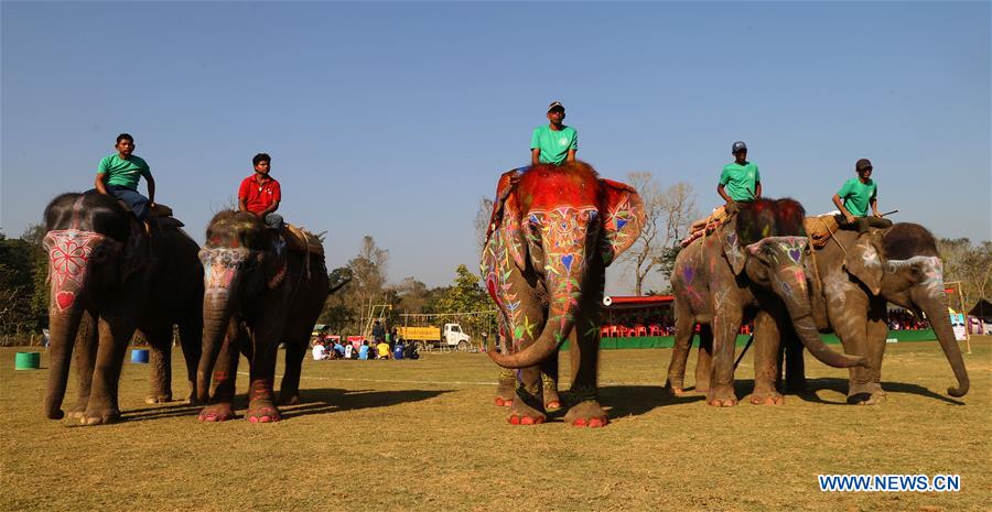 NEPAL-CHITWAN-ELEPHANT FESTIVAL