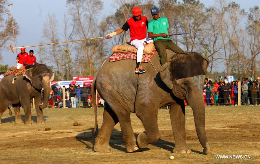 NEPAL-CHITWAN-14TH ELEPHANT FESTIVAL